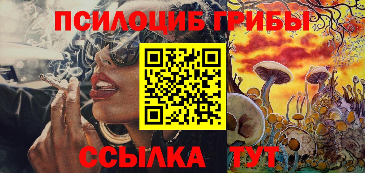 Псилоцибиновые грибы GOLDEN TEACHER  Галлюциногенные грибы Psilocybe  Вход с VPN  Брянск 